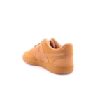 217-CD5463-200-Camel4_1-4