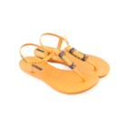 007-IP-21-005-Camel3_1-3